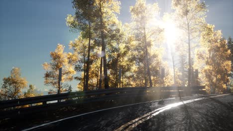 Camera-Movement-By-Road-In-The-Forest-And-The-Sun-Shining